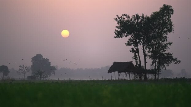 View of a rural sunset over fields in Bogura Bangladesh.