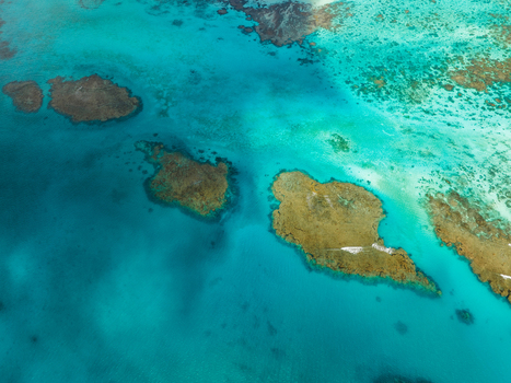 Aerial view of vibrant turquoise waters meet the rugged textured reefs a dance of light and shadow in the vast expanse of the ocean Noumea New Caledonia. Aerial view of vibrant turquoise waters meet the rugged textured reefs a dance of light and shadow in the vast expanse of the ocean Noumea New Caledonia.