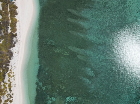 Aerial view of Pulau Ndaa featuring a pristine white sand beach meeting turquoise coral reef waters with clear shallow sea and coastal vegetation Tomia South East Sulawesi Indonesia.