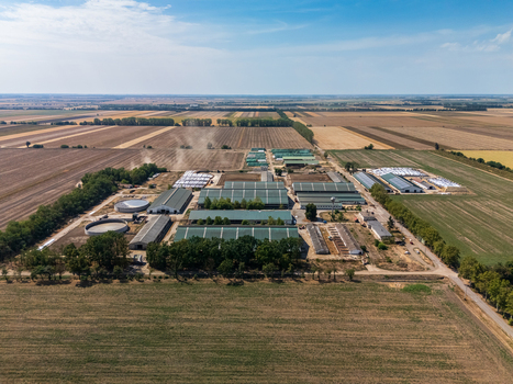 Aerial view of cattle farm barns and fields in rural Hungary countryside Aerial view of cattle farm barns and fields in rural Hungary countryside