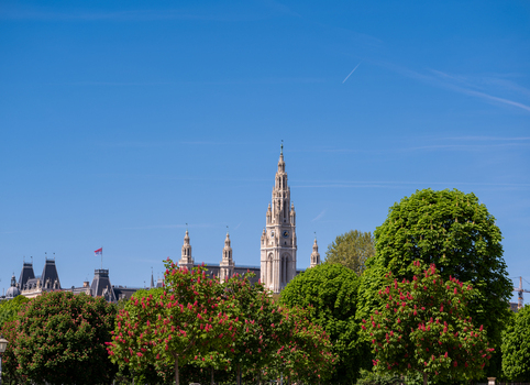 View of the neo Gothic spire of the Vienna City Hall rising behind lush green trees with red blossoms under a clear blue sky in Vienna Vienna Austria. View of the neo Gothic spire of the Vienna City Hall rising behind lush green trees with red blossoms under a clear blue sky in Vienna Vienna Austria.