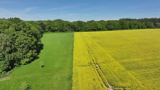Aerial view of blooming rapeseed fields and green meadows in Germany. Aerial view of blooming rapeseed fields and green meadows in Germany.