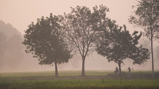 View of farmers walking through a misty rural landscape Bangladesh.