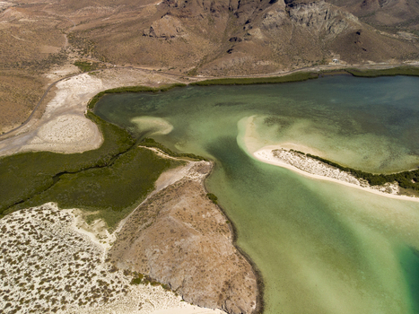 Aerial view of Balandra beach featuring turquoise waters mangrove forests and arid hills in La Paz Baja California Sur Mexico. Aerial view of Balandra beach featuring turquoise waters mangrove forests and arid hills in La Paz Baja California Sur Mexico.
