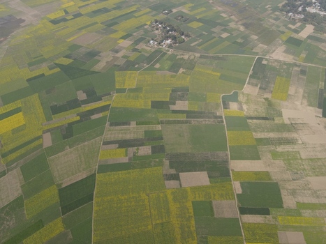 Aerial view of agricultural fields with a patchwork of green and yellow crops small rural settlements and narrow paths Kushtia Khulna Division Bangladesh. Aerial view of agricultural fields with a patchwork of green and yellow crops small rural settlements and narrow paths Kushtia Khulna Division Bangladesh.