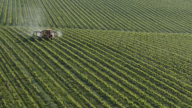 Aerial view of a tractor spraying a vineyard in Targon France. Aerial view of a tractor spraying a vineyard in Targon France.