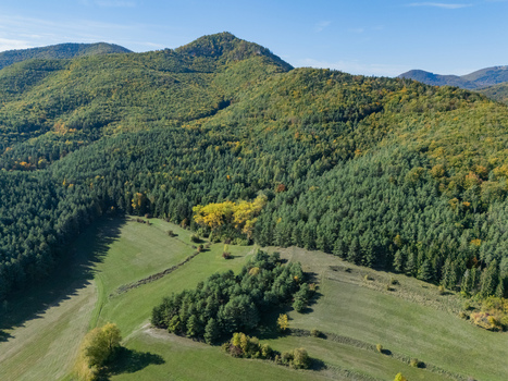 Aerial view of green and gold forest meeting the fields below painting a vivid tapestry of nature s artistry Klastor pod Znievom Zilina Region Slovakia. Aerial view of green and gold forest meeting the fields below painting a vivid tapestry of nature s artistry Klastor pod Znievom Zilina Region Slovakia.