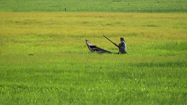 View of a fisherman in a wooden boat in a flooded field Bangladesh.