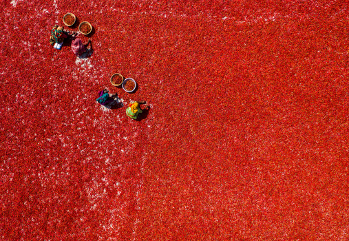 Bogura Rajshahi Division Bangladesh 06 March 2022 Aerial view of workers spreading red chilies to dry on the ground.