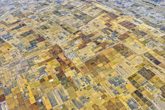 Aerial view of a patchwork of golden and brown fields creating an intricate tapestry across the landscape Cox s Bazar Chittagong Division Bangladesh. Aerial view of a patchwork of golden and brown fields creating an intricate tapestry across the landscape Cox s Bazar Chittagong Division Bangladesh.