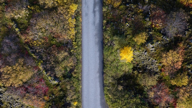 Aerial view of a road winding through a landscape filled with vibrant autumn colors featuring yellow orange and red foliage in Iceland. Aerial view of a road winding through a landscape filled with vibrant autumn colors featuring yellow orange and red foliage in Iceland.