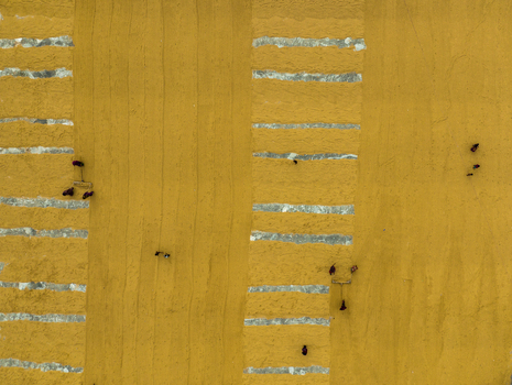 Ashuganj Chittagong Division Bangladesh 05 July 2022 Aerial view of workers spreading and drying golden rice on a large industrial surface.