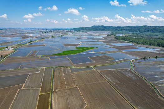 Aerial view of flooded rice fields creating geometric patterns under a blue sky with scattered clouds in Trino Piemonte Italy.