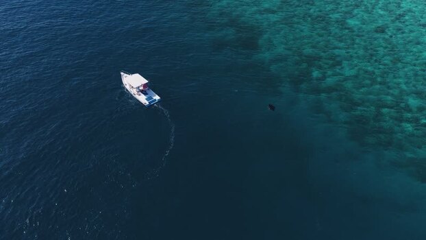 Aerial view of a boat cruising near a coral reef Maldives.