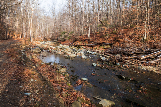 View of a shallow stream winding through a forest with fallen leaves and rocks reflecting the sky contrasting with the bare trees Scott s Run Virginia United States. View of a shallow stream winding through a forest with fallen leaves and rocks reflecting the sky contrasting with the bare trees Scott s Run Virginia United States.