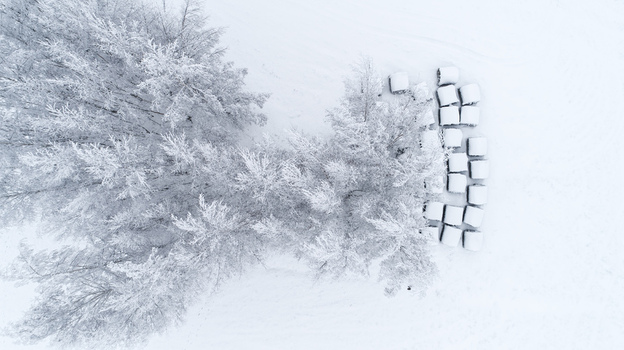 Aerial view of snow covered trees and hay bales in a winter landscape in Latvia. Aerial view of snow covered trees and hay bales in a winter landscape in Latvia.