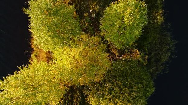 Aerial view of trees in Peurasuvanto Finland. Aerial view of trees in Peurasuvanto Finland.