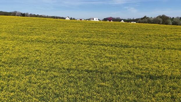 Aerial view of yellow field and houses France.