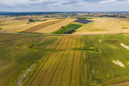 Aerial view of the rolling agricultural fields of Kashubia with diverse crops and a winding road cutting through the landscape in Tczew Pomeranian Voivodeship Poland. Aerial view of the rolling agricultural fields of Kashubia with diverse crops and a winding road cutting through the landscape in Tczew Pomeranian Voivodeship Poland.