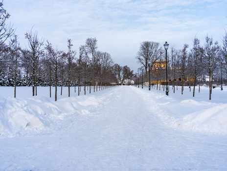 View of Traku Voke manor park covered in deep snow with a cleared path lined by bare trees under a bright winter sky in Vilnius Vilniaus apskritis Lithuania. View of Traku Voke manor park covered in deep snow with a cleared path lined by bare trees under a bright winter sky in Vilnius Vilniaus apskritis Lithuania.