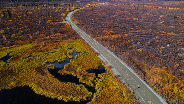 Aerial view of a gravel road winding through the colorful tundra landscape of Denali National Park with small ponds and wetlands in Denali Park Alaska United States.
