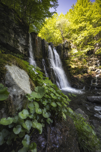 View of cascading waterfalls tumble down mossy rocks framed by vibrant green foliage under a bright sky in Lizzano In Belvedere Emilia Romagna Italy. View of cascading waterfalls tumble down mossy rocks framed by vibrant green foliage under a bright sky in Lizzano In Belvedere Emilia Romagna Italy.