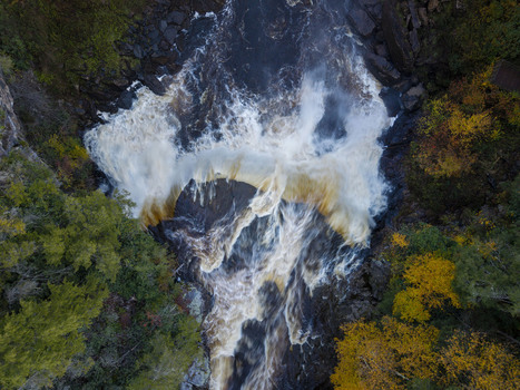 Aerial view of Blackwater Falls surrounded by vibrant autumn foliage in Blackwater Falls State Park in Davis West Virginia United States.