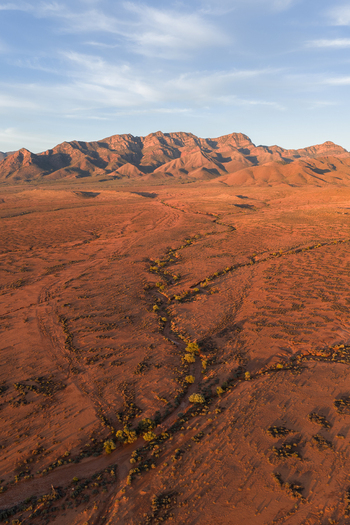 Aerial view of the rugged red terrain and sparse vegetation of the outback with a mountain range and dry creek bed in Flinders Ranges South Australia Australia. Aerial view of the rugged red terrain and sparse vegetation of the outback with a mountain range and dry creek bed in Flinders Ranges South Australia Australia.