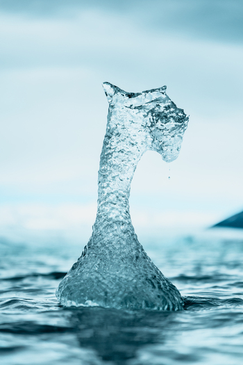 View of an intricate swan shaped iceberg floating in the cold water of the Vatnajokull glacier lagoon with clear blue ice textures and gentle ripples in Iceland.