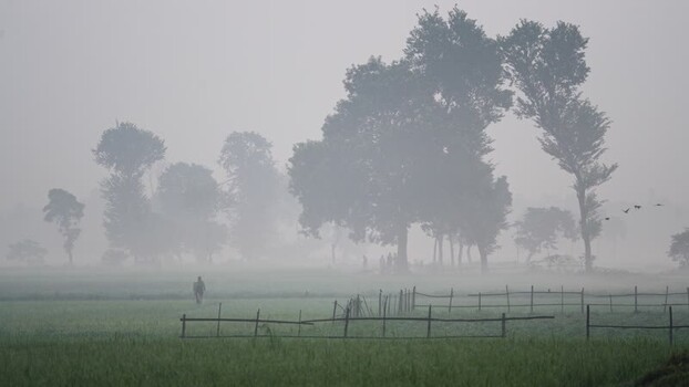 View of a misty rural landscape with trees in Bogura Bangladesh.