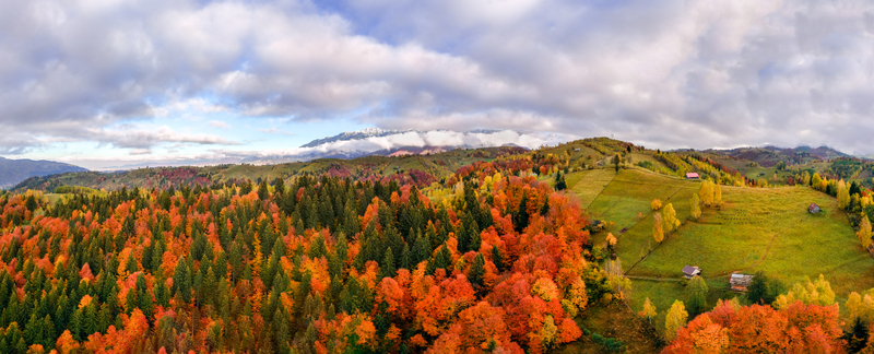 Aerial view of vibrant autumn forests with orange and red foliage rolling green hills and small wooden houses under a cloudy sky in Bran Brasov Romania. Aerial view of vibrant autumn forests with orange and red foliage rolling green hills and small wooden houses under a cloudy sky in Bran Brasov Romania.