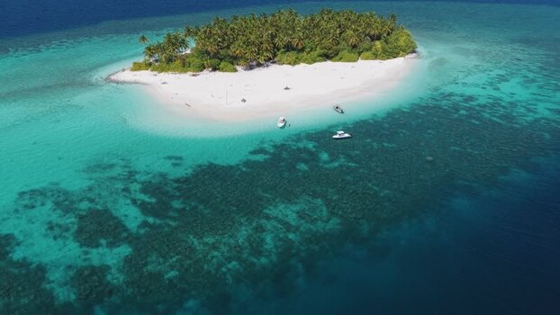 Aerial view of a tropical island with palm trees Maldives. Aerial view of a tropical island with palm trees Maldives.