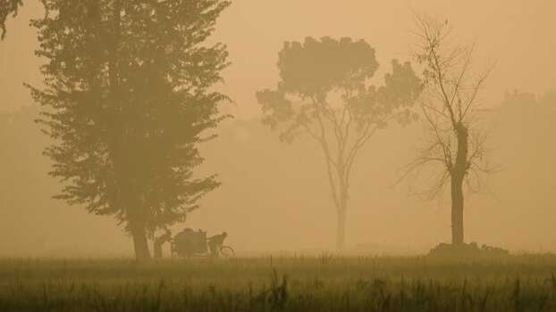View of people pushing a cart in a misty field Bangladesh.