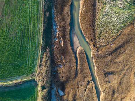 Aerial view of a narrow river winding through brown marshland and reeds next to a lush green agricultural field in Thurlestone Devon United Kingdom.