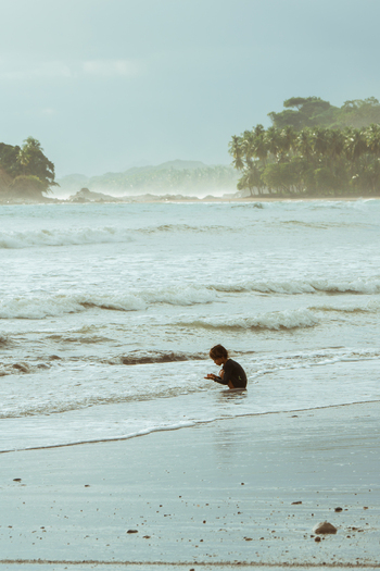 View of a young child playing in the shallow surf on a tropical beach with palm trees and misty coastline in the background Costa Rica.