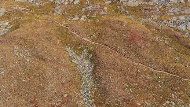 Aerial view of Aletsch Glacier hiking trail in Switzerland.