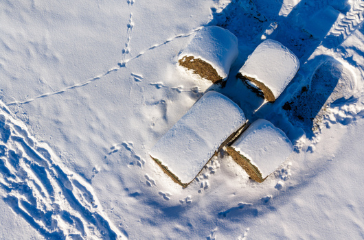 Aerial view of hay bales covered in fresh snow with animal tracks and long shadows Lithuania.