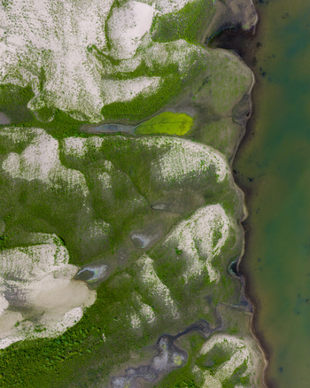 Aerial view of the Vistula river bank featuring sandy deposits and lush green vegetation along the shoreline in Warsaw Masovian Voivodeship Poland. Aerial view of the Vistula river bank featuring sandy deposits and lush green vegetation along the shoreline in Warsaw Masovian Voivodeship Poland.