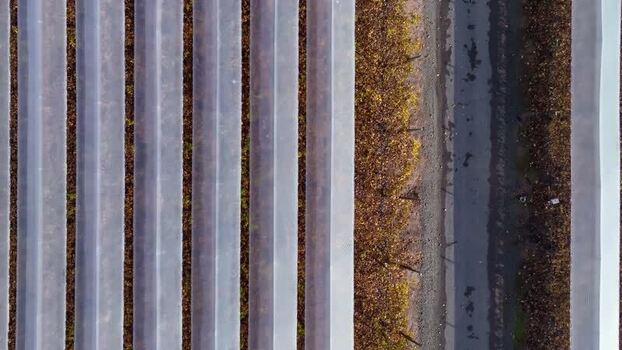 Aerial view of agricultural fields in Santiago Chile.