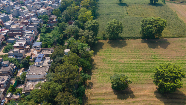 Lahore Pakistan 08 September 2026 Aerial view of the transition between dense residential buildings and lush agricultural fields with scattered trees in Punjab.