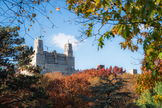 Manhattan United States 08 November 2025 View of the stately architecture of the San Remo building rising above the vibrant tapestry of autumn foliage. Manhattan United States 08 November 2025 View of the stately architecture of the San Remo building rising above the vibrant tapestry of autumn foliage.