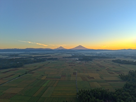 Aerial view of vast agricultural rice fields at sunrise with distant volcanic mountains under a clear sky in Kutoarjo Central Java Indonesia. Aerial view of vast agricultural rice fields at sunrise with distant volcanic mountains under a clear sky in Kutoarjo Central Java Indonesia.