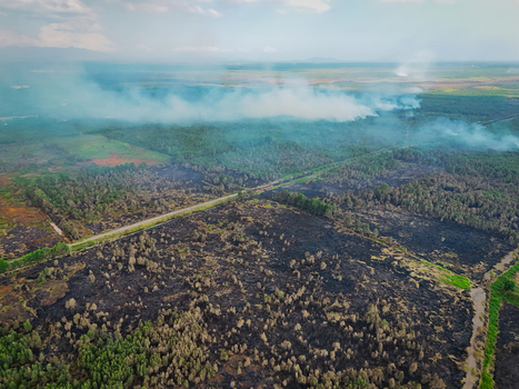 Aerial view of a forest fire with smoke rising over burnt land and a dirt road cutting through the landscape in Indonesia. Aerial view of a forest fire with smoke rising over burnt land and a dirt road cutting through the landscape in Indonesia.