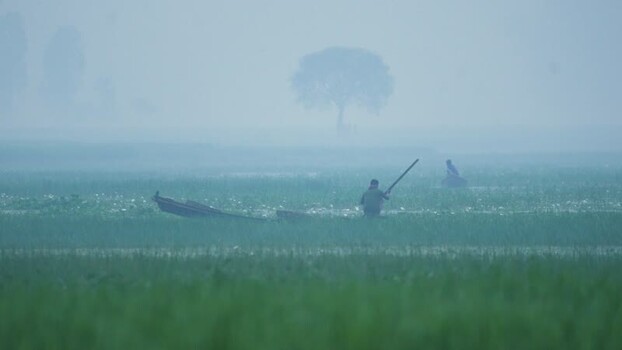 View of a fisherman in a boat on a misty field in Bogura Bangladesh.