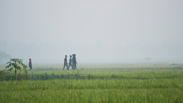 View of people walking through a misty green field Bangladesh.