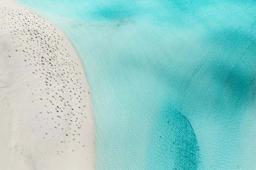 Aerial view of Aitutaki lagoon featuring a pristine white sand beach meeting the vibrant turquoise waters of the South Pacific in the Cook Islands. Aerial view of Aitutaki lagoon featuring a pristine white sand beach meeting the vibrant turquoise waters of the South Pacific in the Cook Islands.