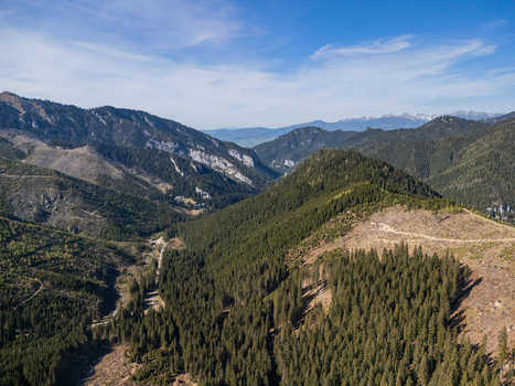 Aerial view of the lush Demanovska Dolina valley with dense evergreen forests steep mountain slopes and rocky peaks under a clear blue sky in Demanovska Dolina Zilina Region Slovakia.