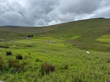 View of the rolling green hills and stone walls of the Yorkshire Dales with grazing sheep under a cloudy sky Hawes England United Kingdom. View of the rolling green hills and stone walls of the Yorkshire Dales with grazing sheep under a cloudy sky Hawes England United Kingdom.
