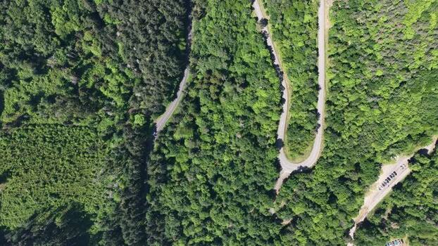 Aerial view of a winding road through a dense green forest France.