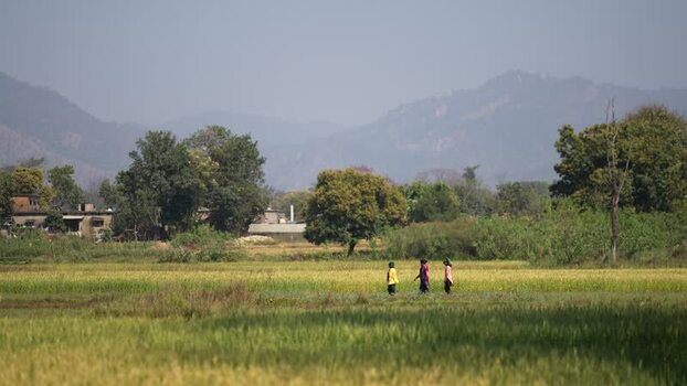 View of people walking through agricultural fields in Dang Nepal.